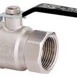 TDS DN50 DEMİR VANA